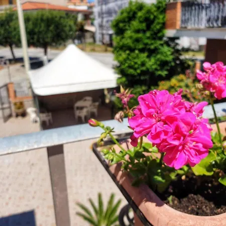 Hotel Ristorante L'avvenire Gizzeria