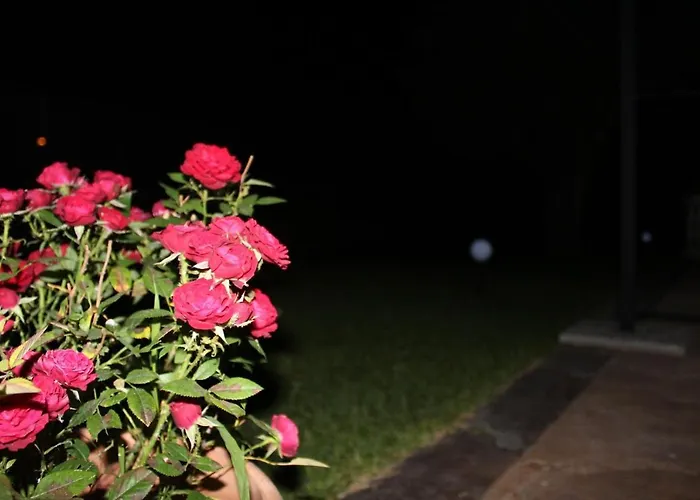 酒店 勒阿文尼尔餐厅酒店