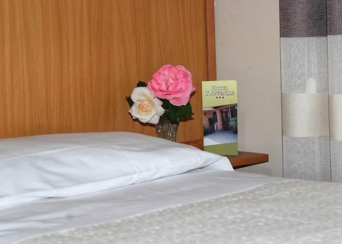 勒阿文尼尔餐厅酒店 3*